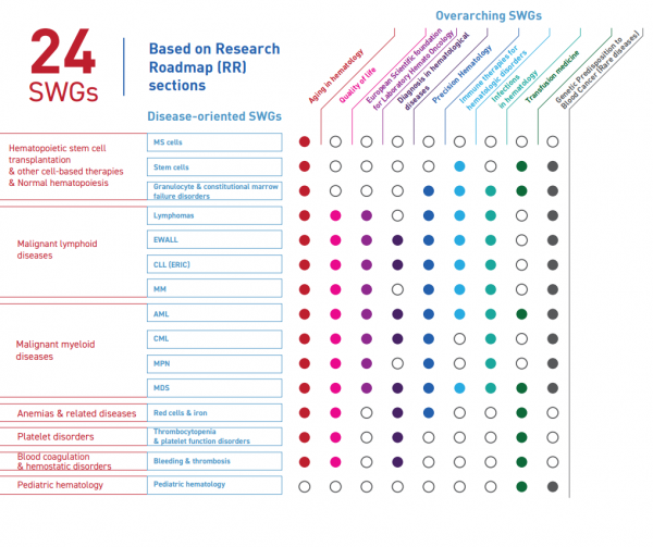 SWG infographic 2020